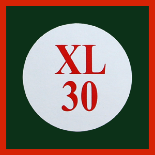 Castrol Classic XL 30 Motorenöl 1 Liter Blechkanister im Retrodesign